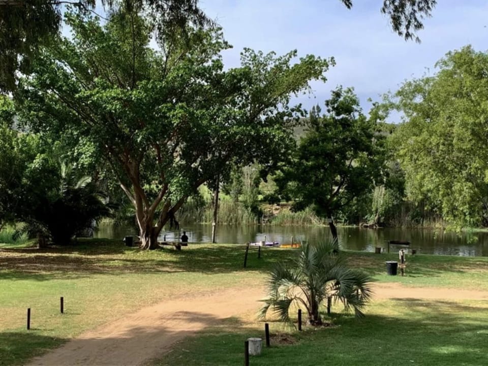 Garden, River view
