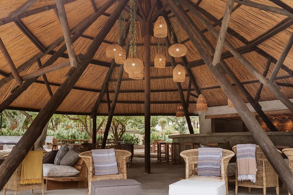 Lounge or bar