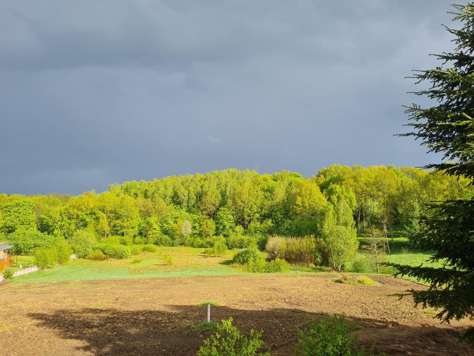 Spring, Day, Natural landscape, Garden, Garden view