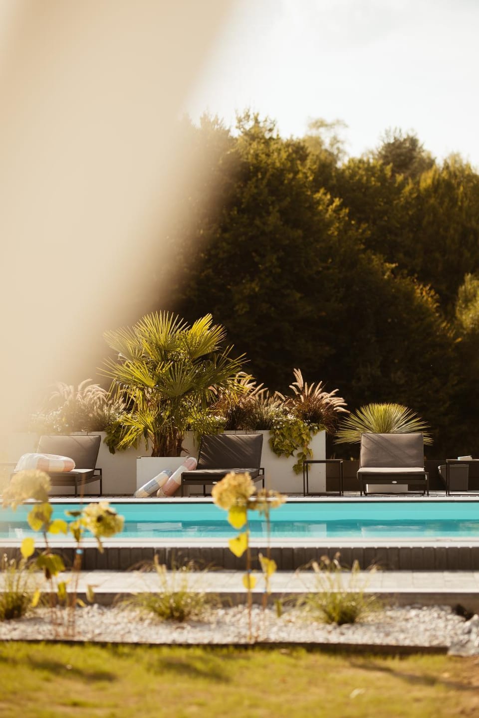 Day, Natural landscape, Garden, Garden view, Pool view, Swimming pool