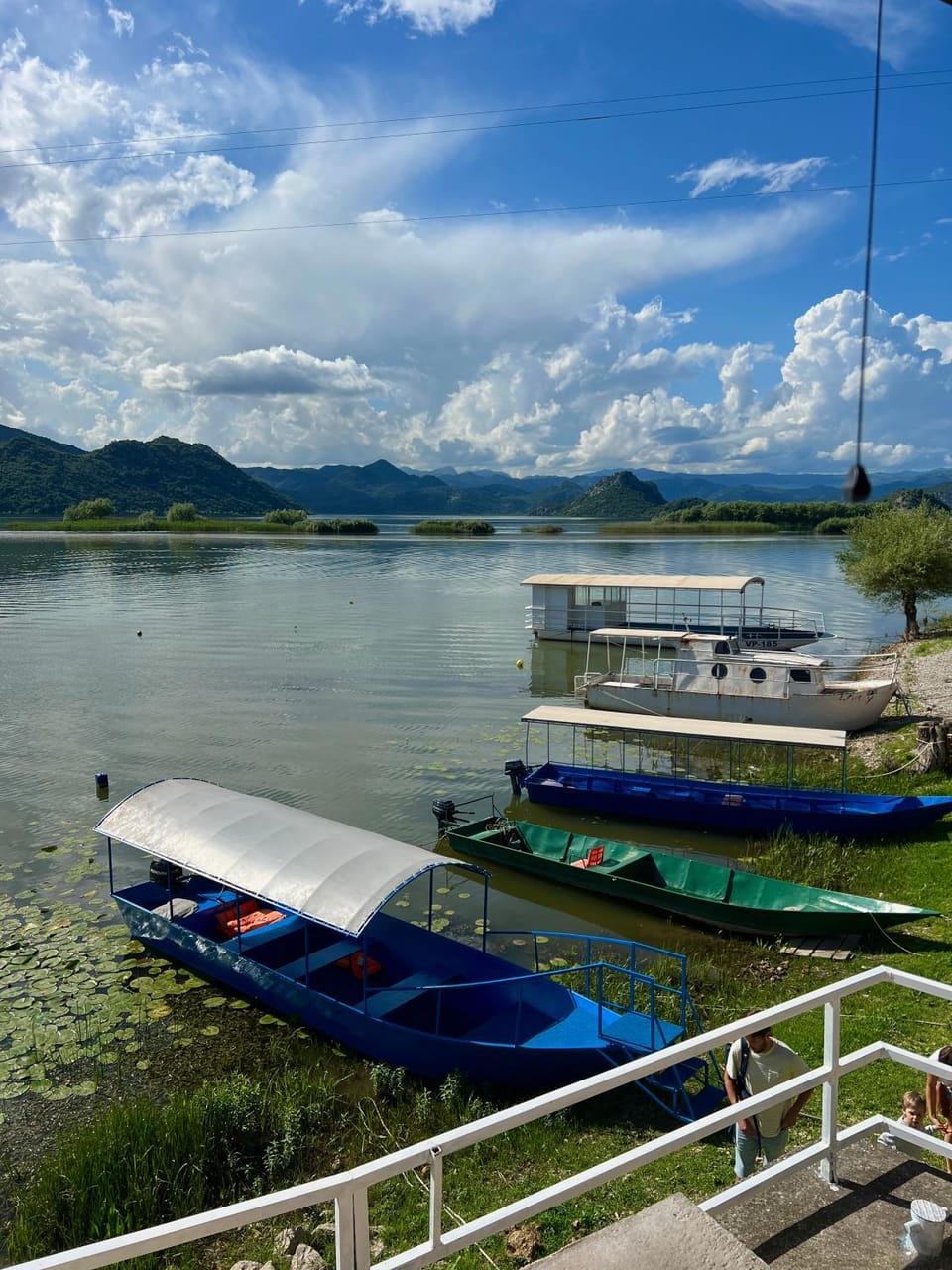 Lake view