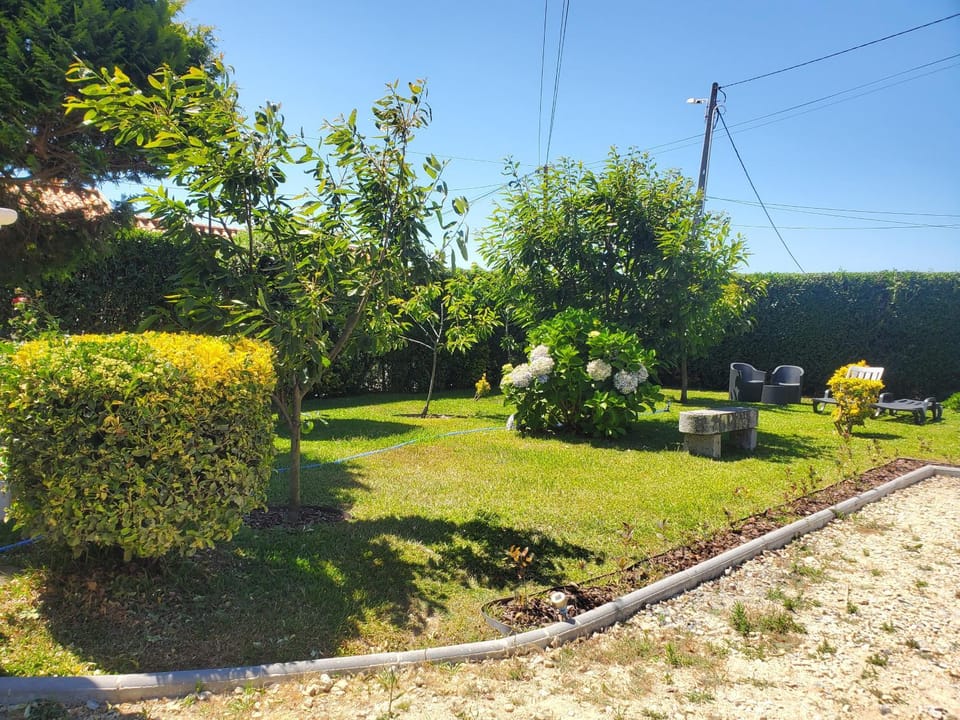 Villa Ribeiro Bed and Breakfast in Vila Praia de Ancora