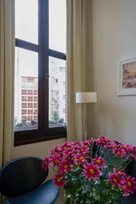 Enjoy natural light and garden view of this loft Apartment in Buenos Aires