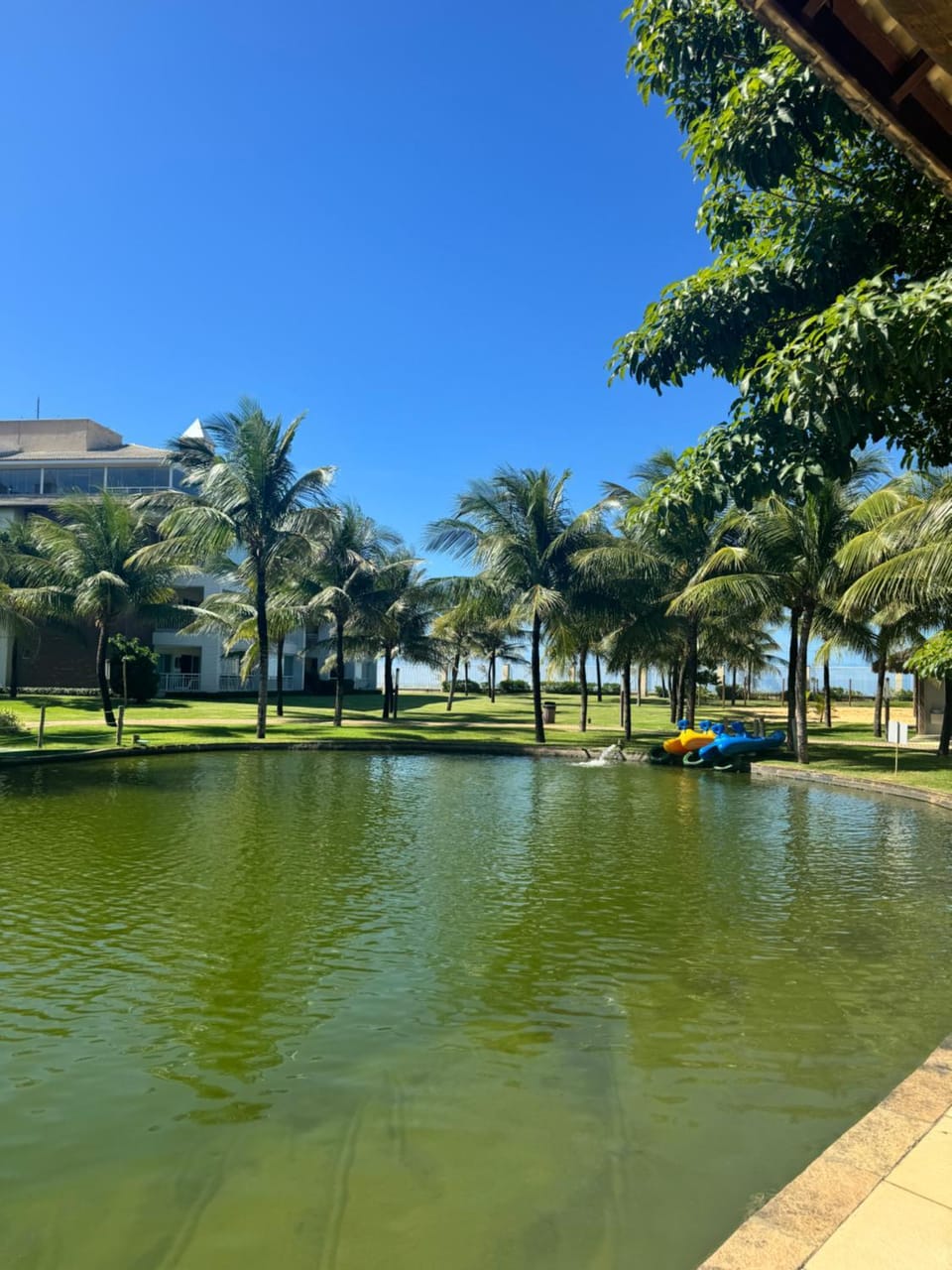 Lake view