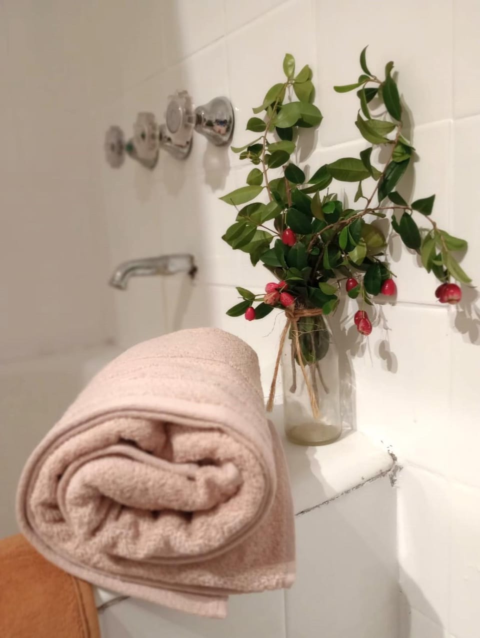 Bathroom, towels