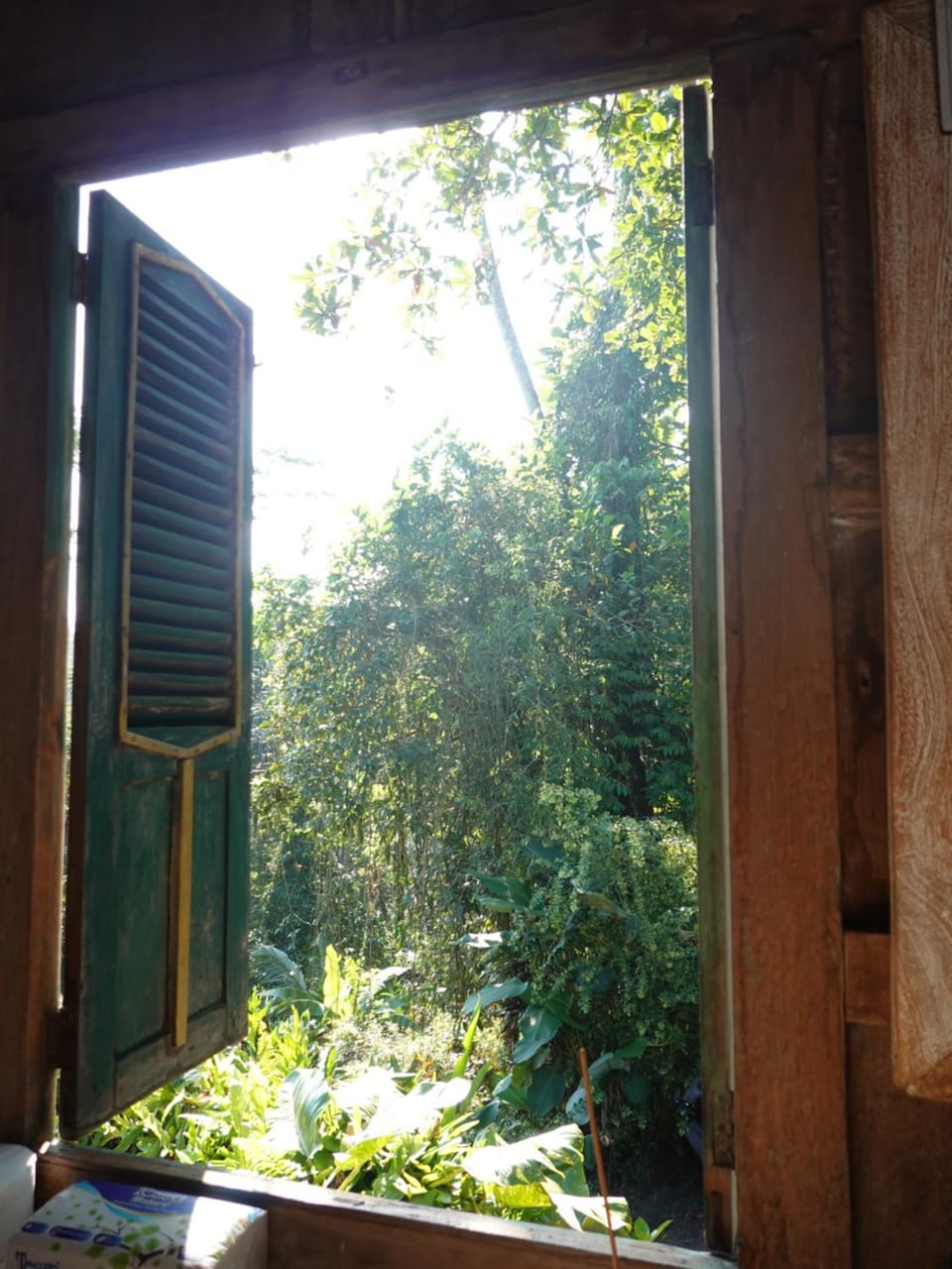 Garden view