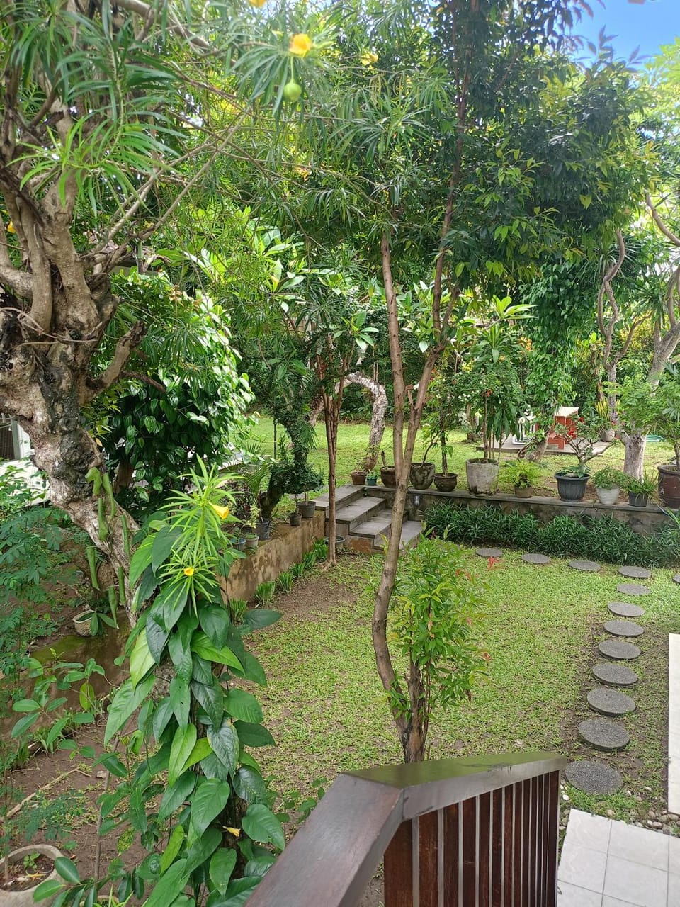 Garden view