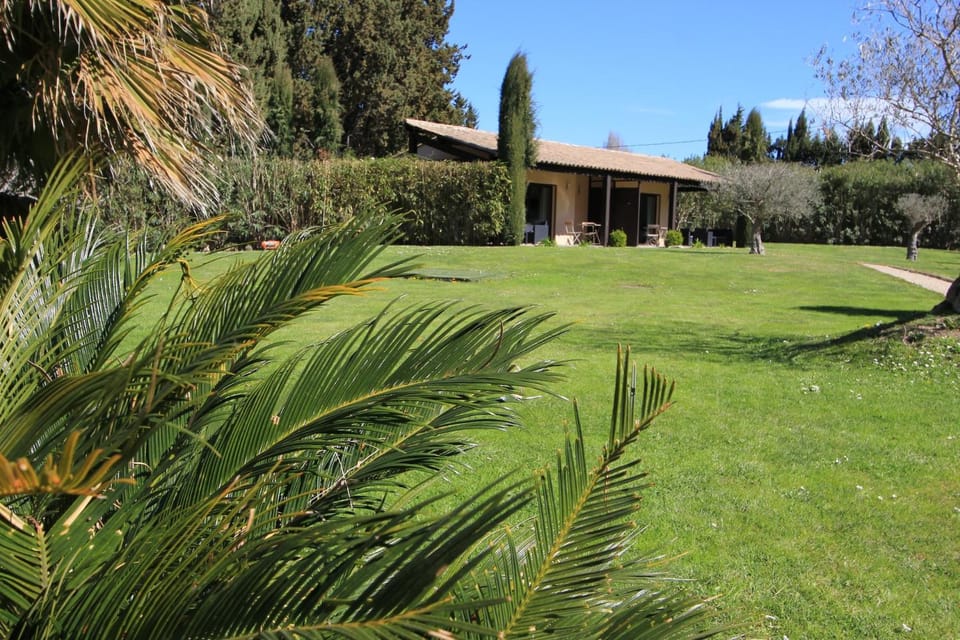 Garden, Garden view, Area and facilities