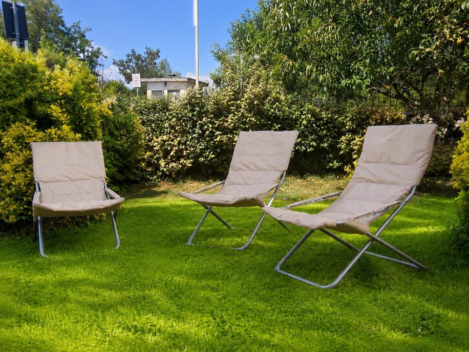Spring, Day, Garden, Garden, Garden view, sunbed