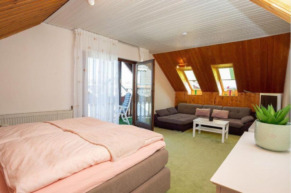 Ferienwohnung-Anemone-mit-Bergblick Apartment in Braunlage