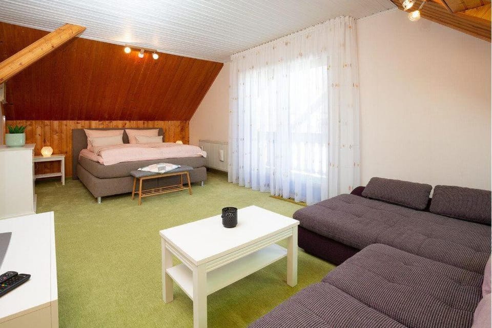 Ferienwohnung-Anemone-mit-Bergblick Apartment in Braunlage