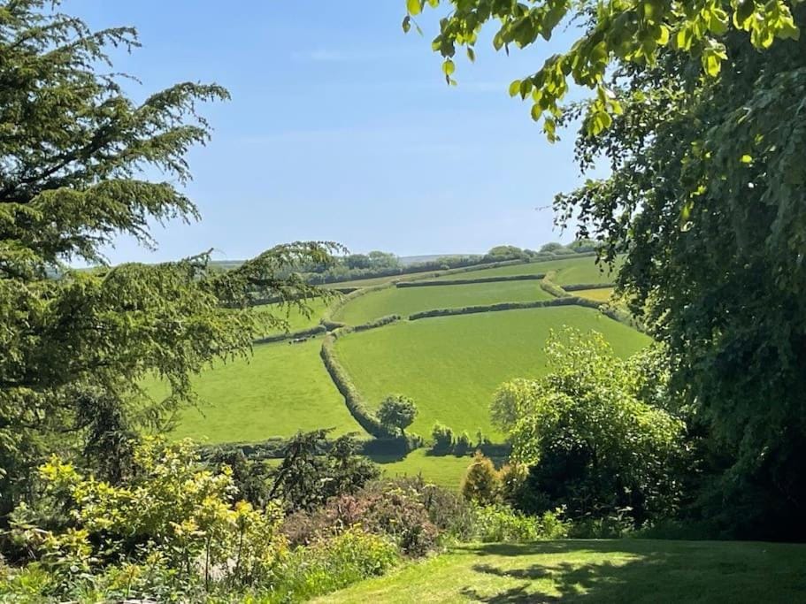 Natural landscape, Garden view