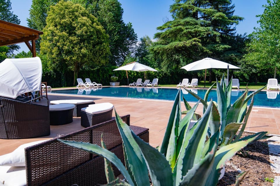 Pool view, Swimming pool