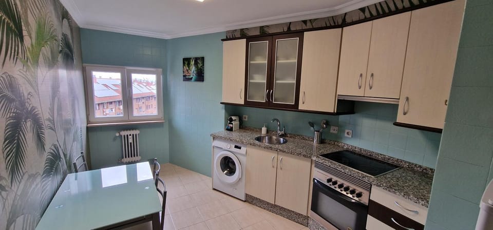 Kitchen or kitchenette, oven, stove, toaster, washing machine