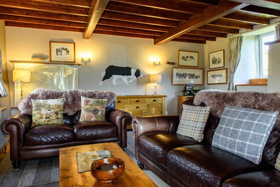 Communal lounge/ TV room, Living room