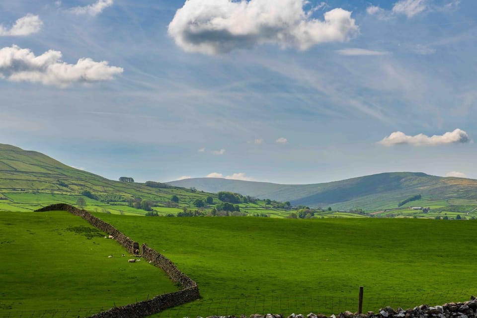 Patio, Garden, Garden view