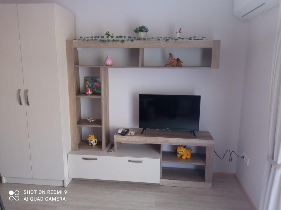 Communal lounge/ TV room, TV and multimedia, wardrobe
