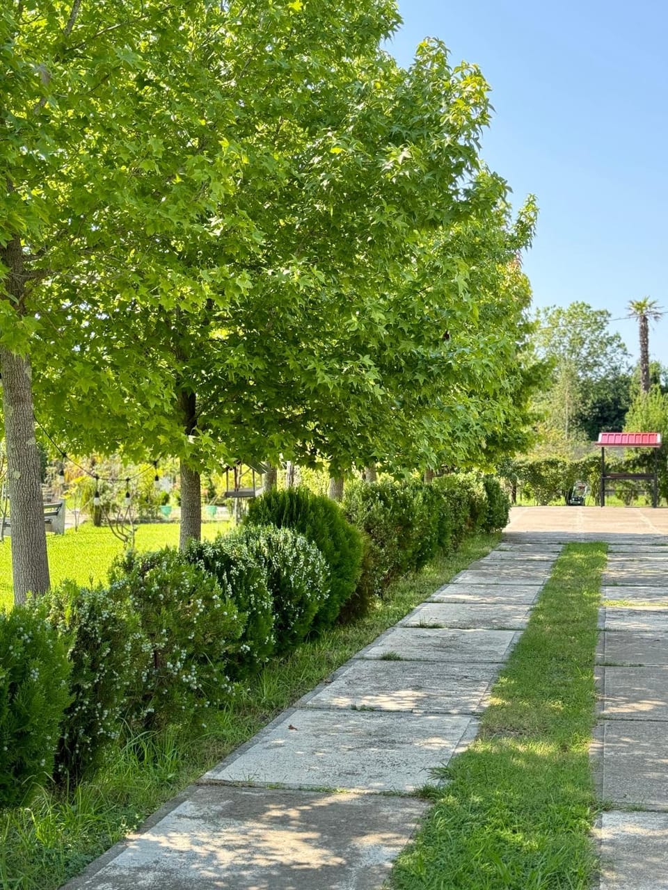 GRIGOLETI River Club Hotel in Georgia