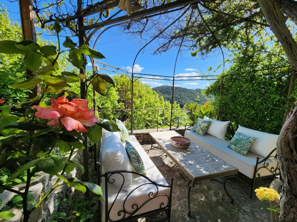 Natural landscape, Garden, View (from property/room), Seating area, Garden view
