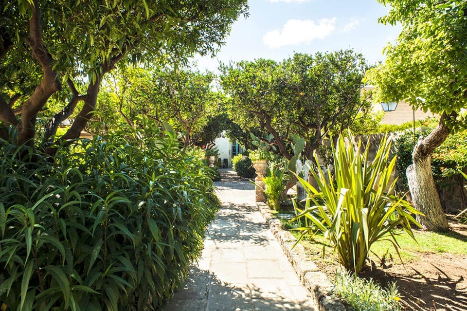 Garden, Garden, Garden view