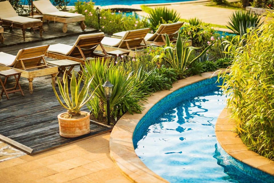 Garden, Swimming pool