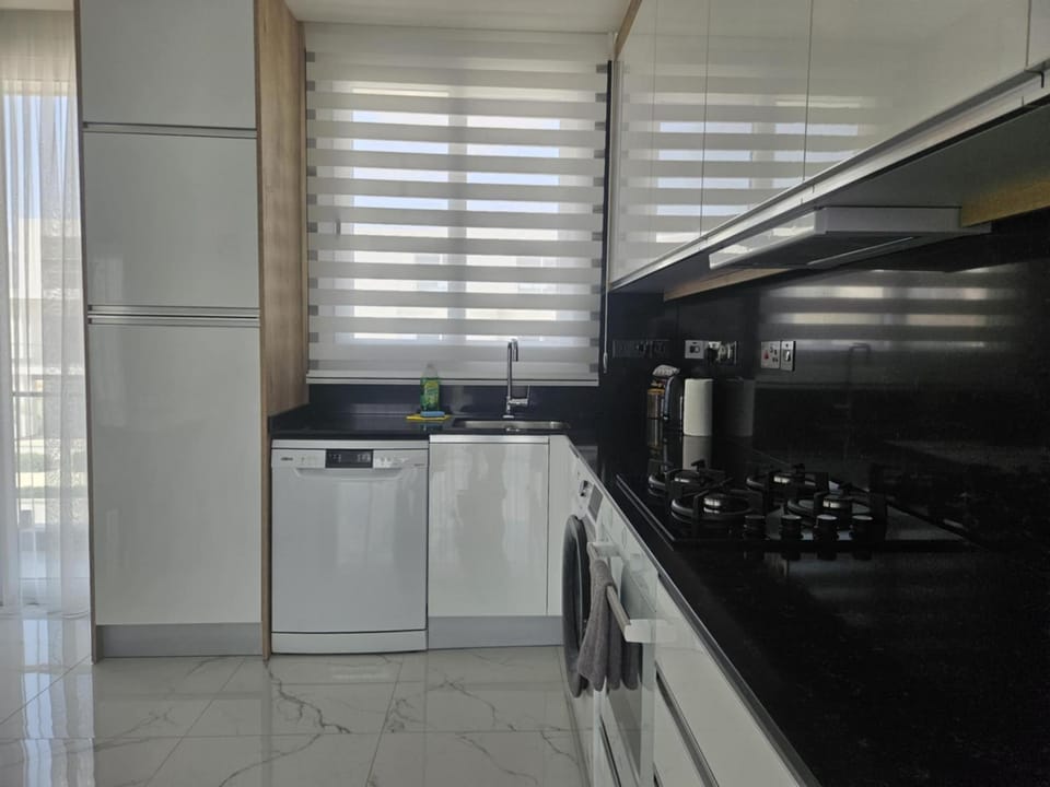 Kitchen or kitchenette, dishwasher, minibar, oven, pet friendly, stove
