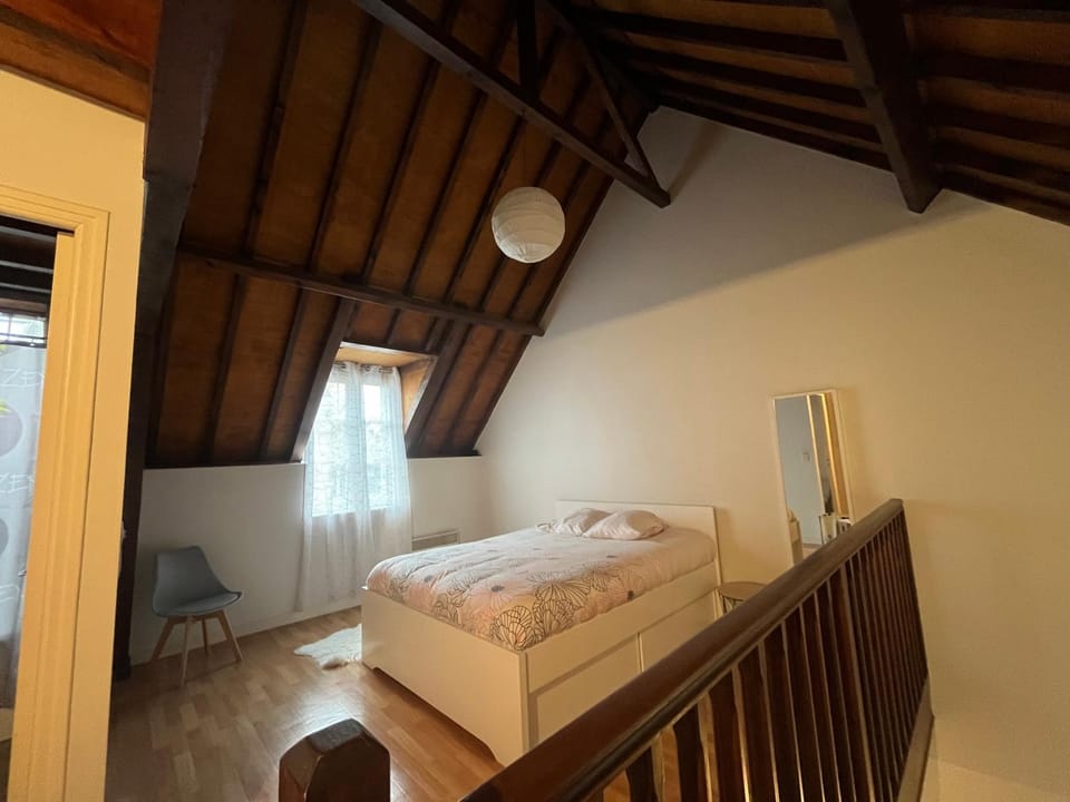 Le mortier d’or duplex hyper centre ville Apartment in Troyes