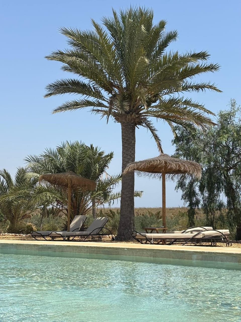 Natural landscape, Pool view, Swimming pool