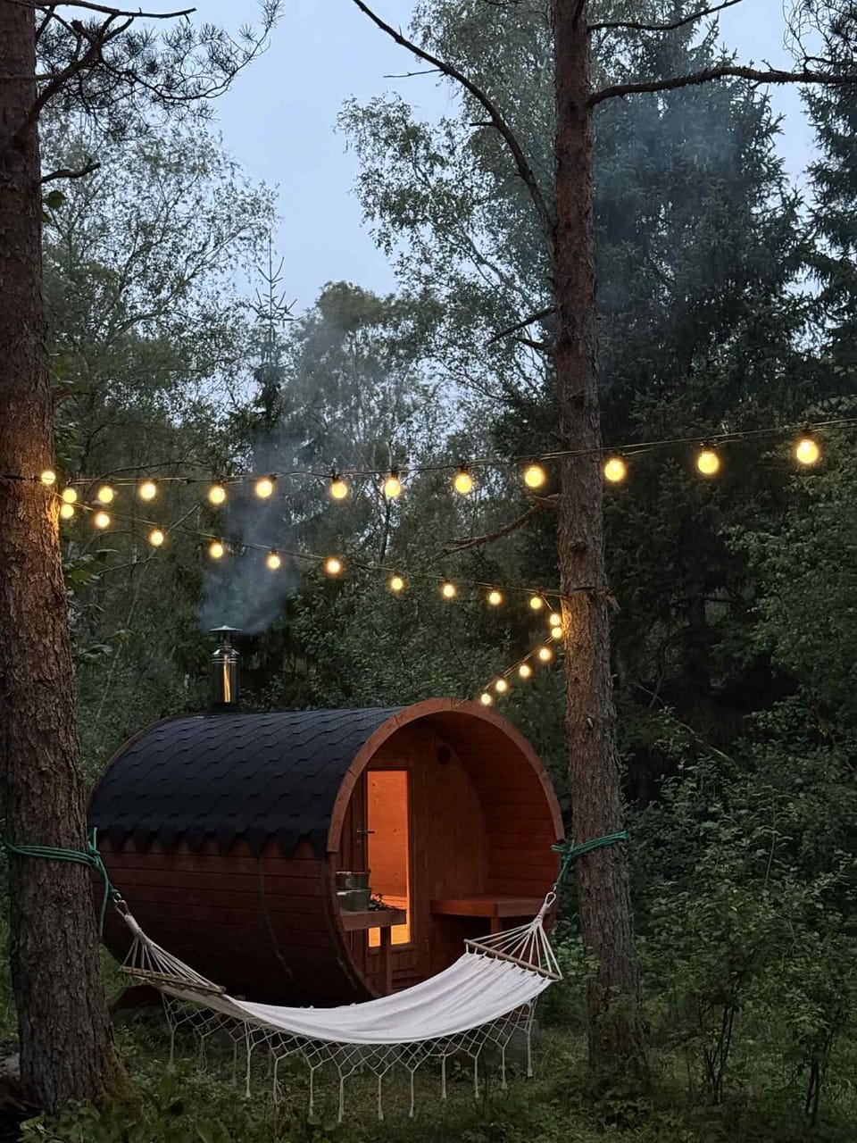 Night, Garden view