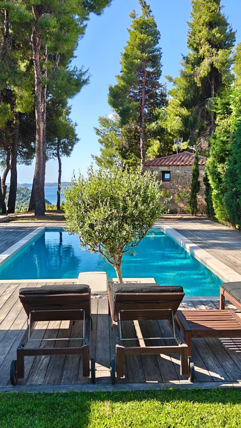 Patio, Spring, Natural landscape, Garden, Garden view, Swimming pool