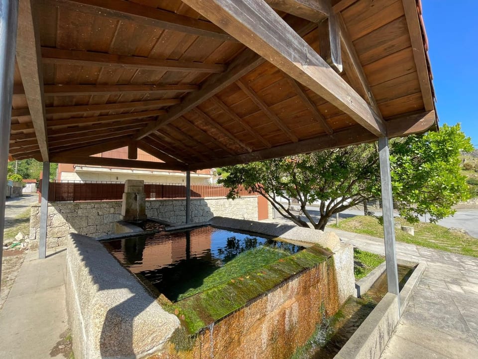 Property building, Day, Garden, Garden view