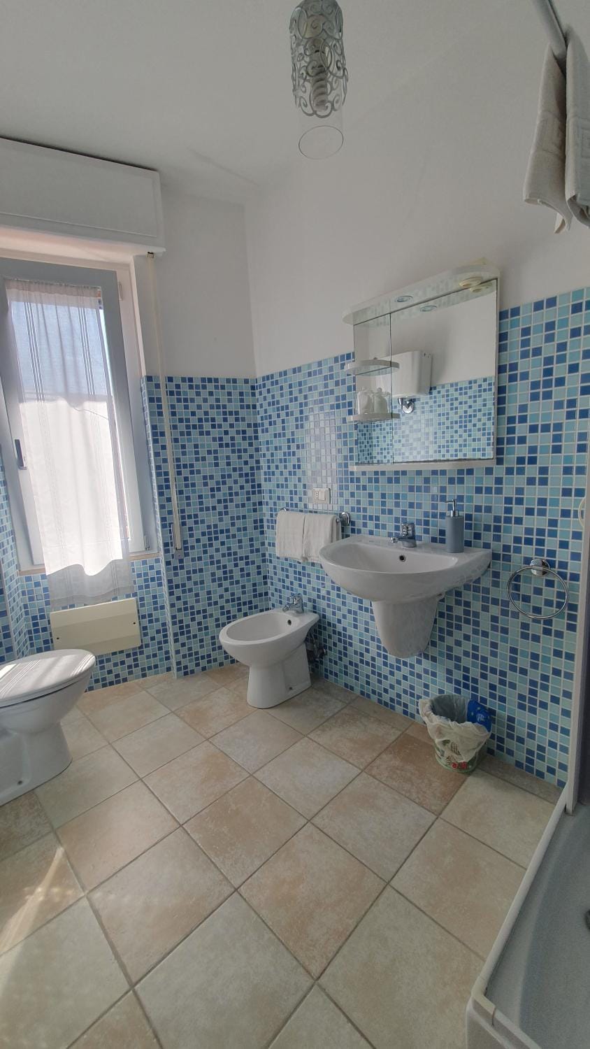 Shower, Toilet, Bathroom, hair dryier, towels