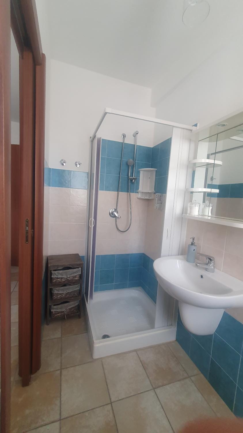 Shower, Toilet, Bathroom, hair dryier, towels