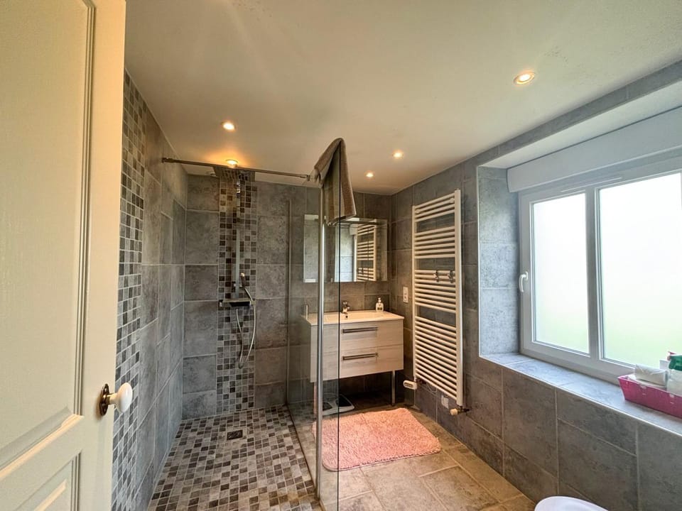 Shower, Toilet, towels