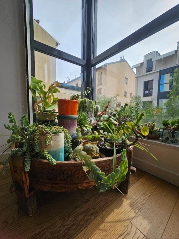 Charmant T2 à la Libération, Nice Apartment in Nice