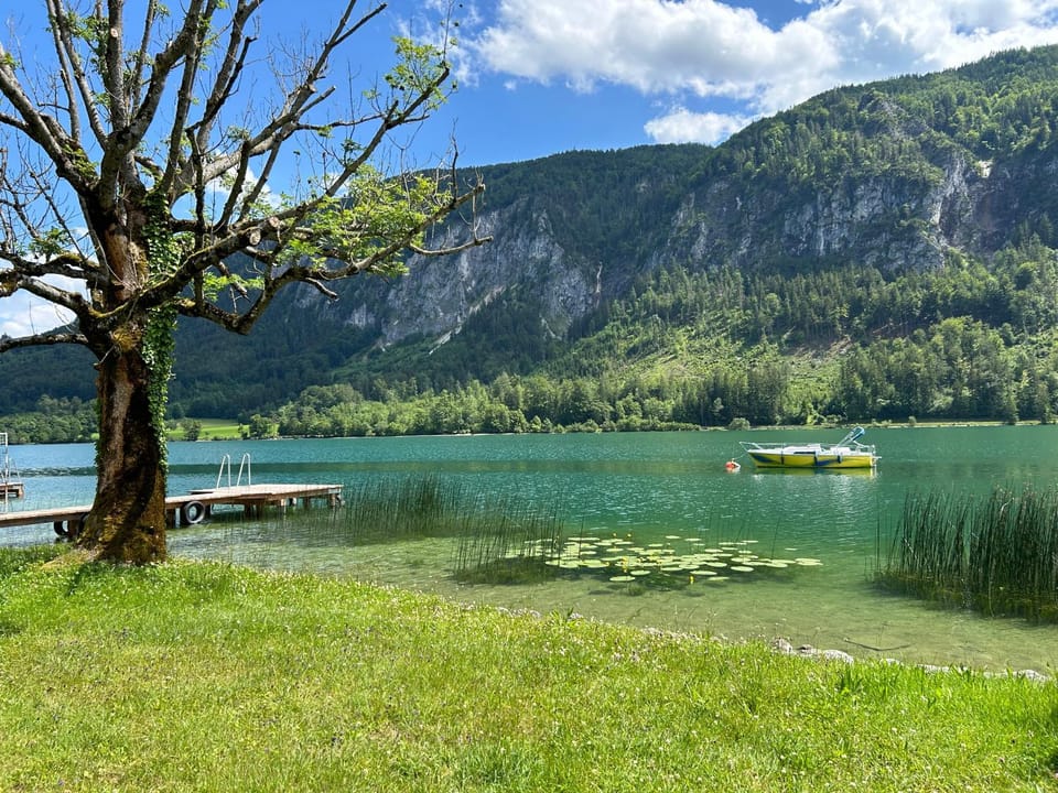 Gasthof Seestern with lake access Inn in Mondsee