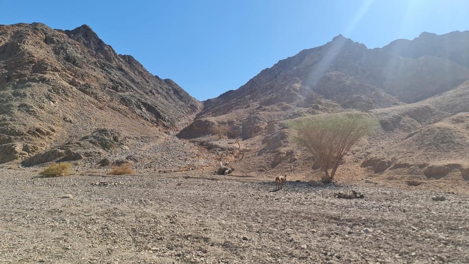 Property building, Natural landscape