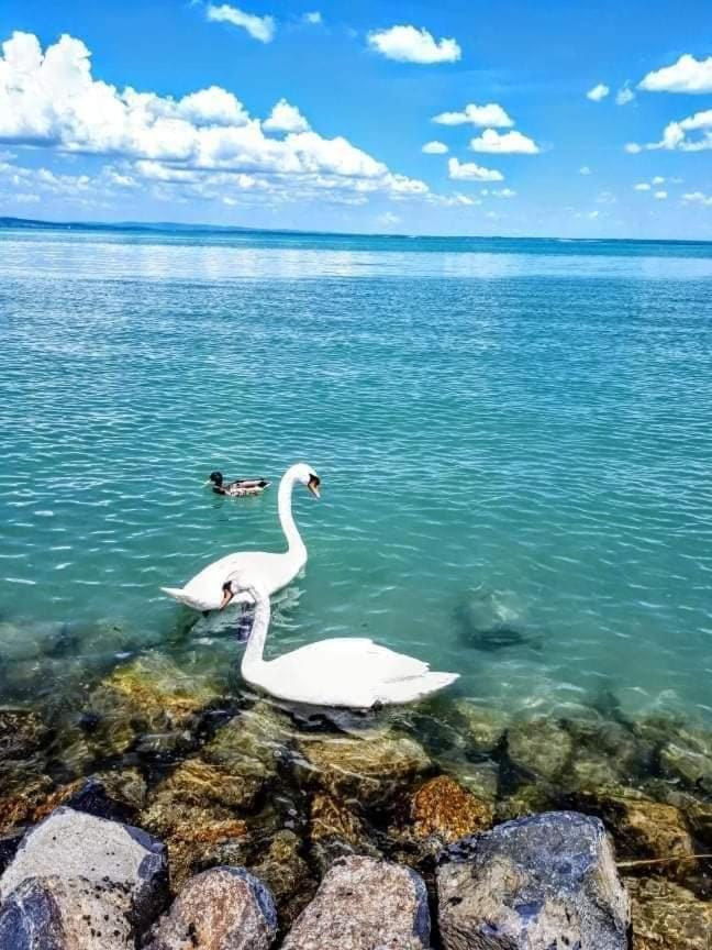 Natural landscape