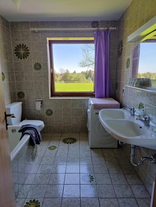 Toilet, Bathroom, Bath