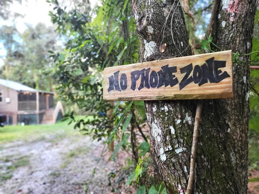 River Daze Cabin - A cozy cabin right on the river Cabin in Florida