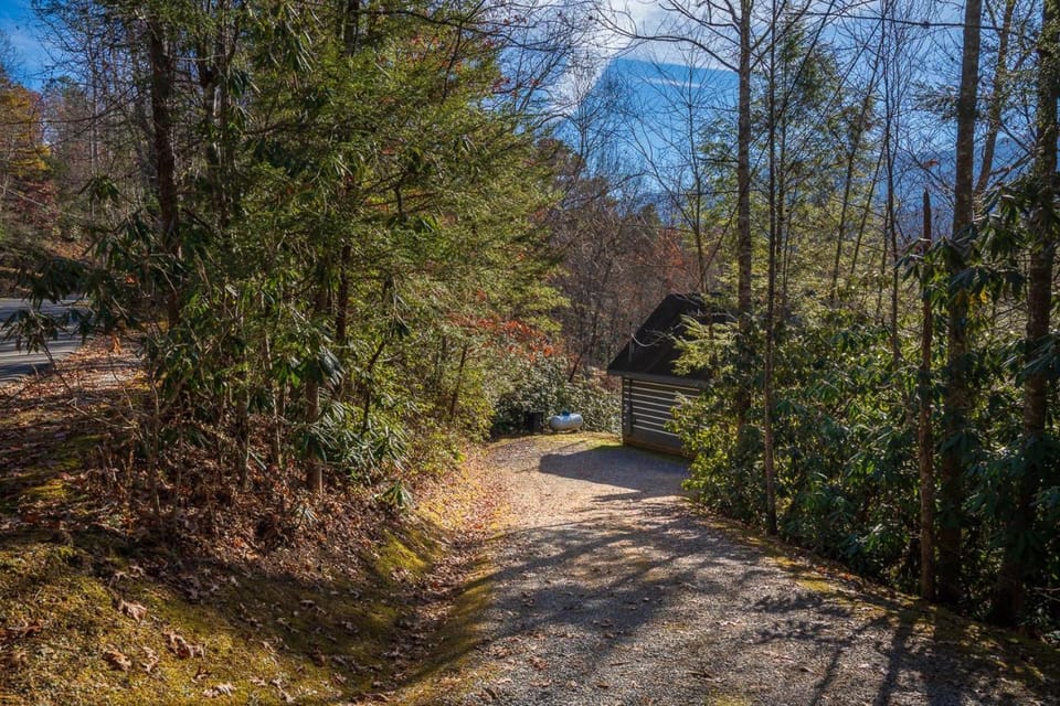 Bear Necessity by Stony Brook Cabins Cabin in Pittman Center