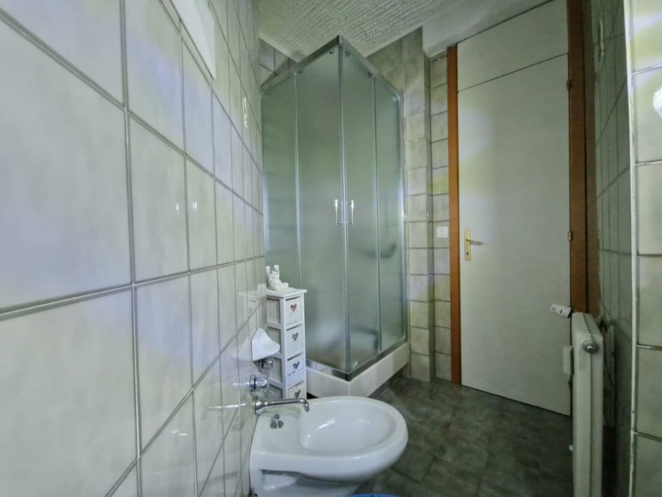 Shower, Toilet, Bathroom, bidet