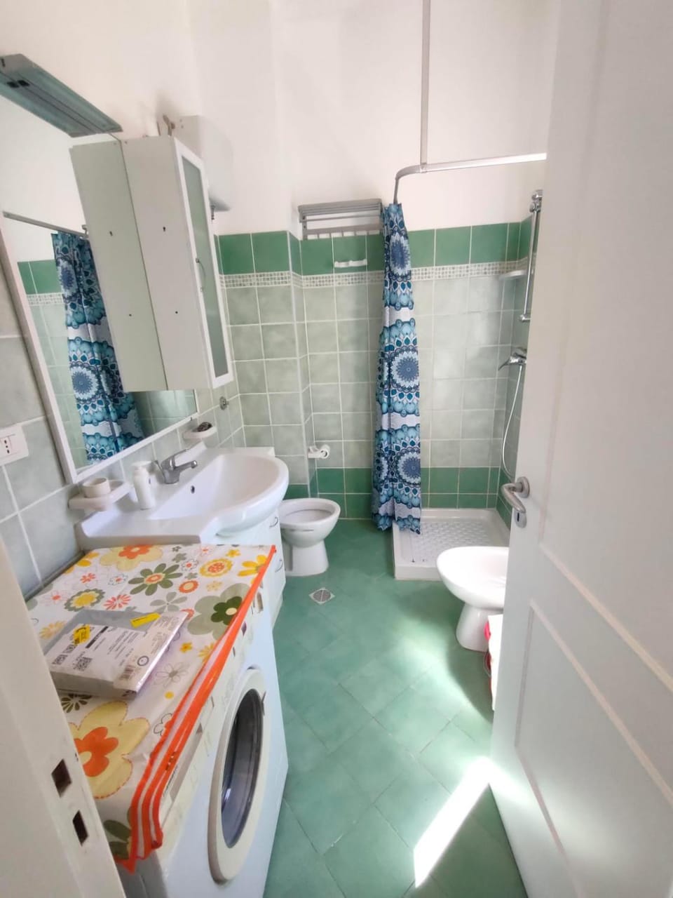 Shower, Toilet, bidet, washing machine