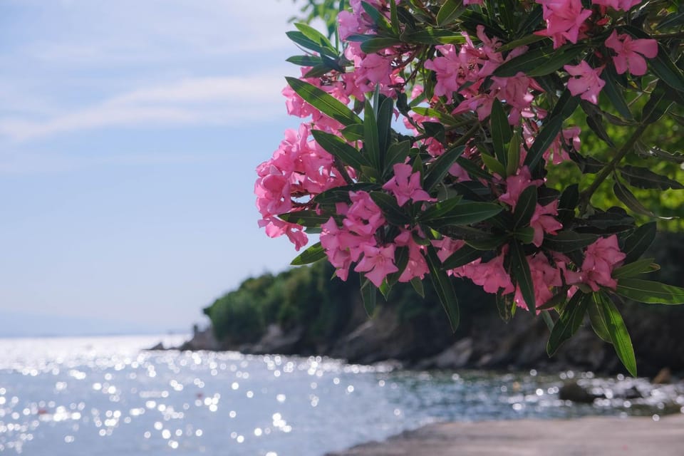Day, Natural landscape, Sea view