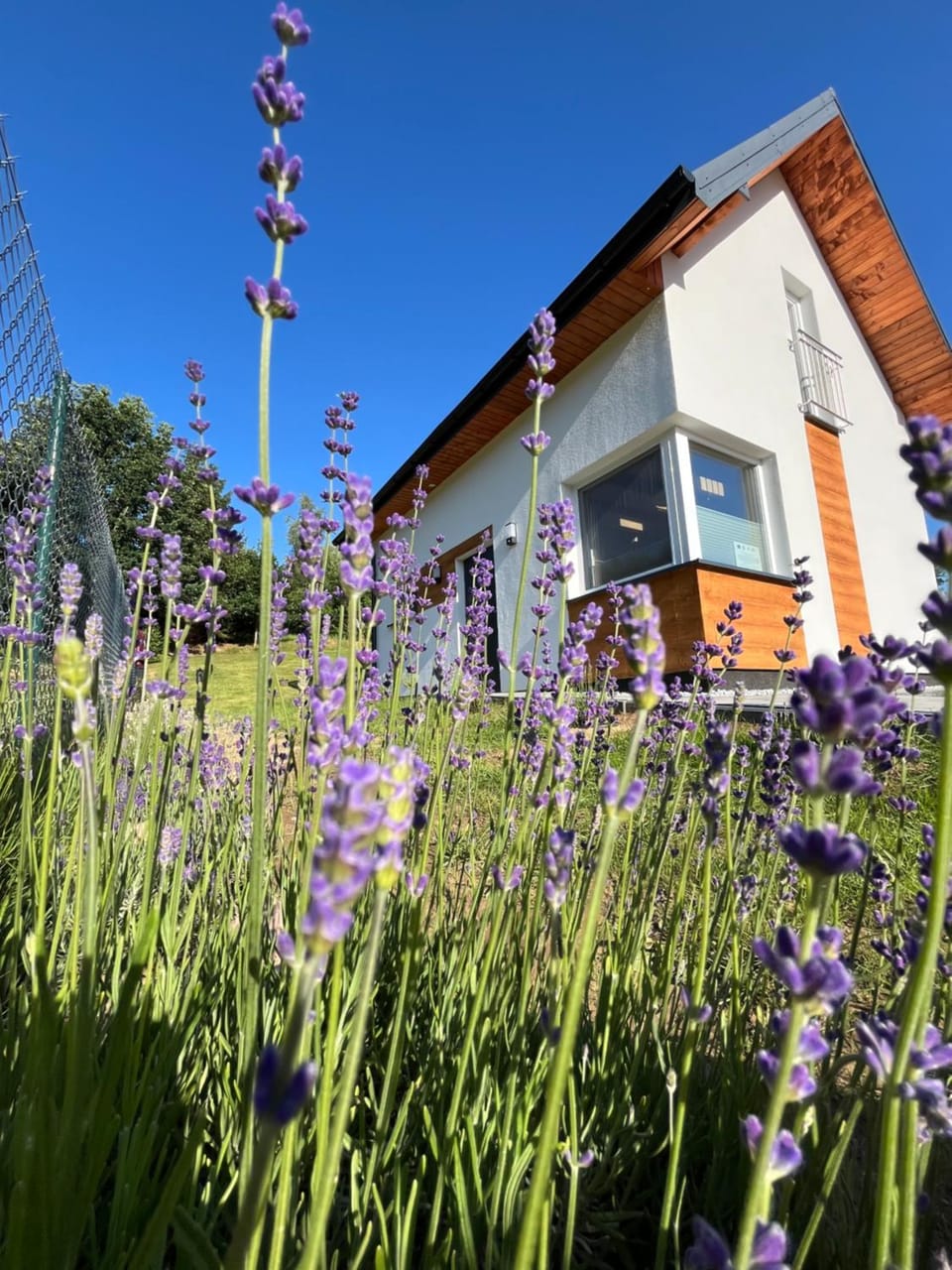 Property building, Day, Natural landscape