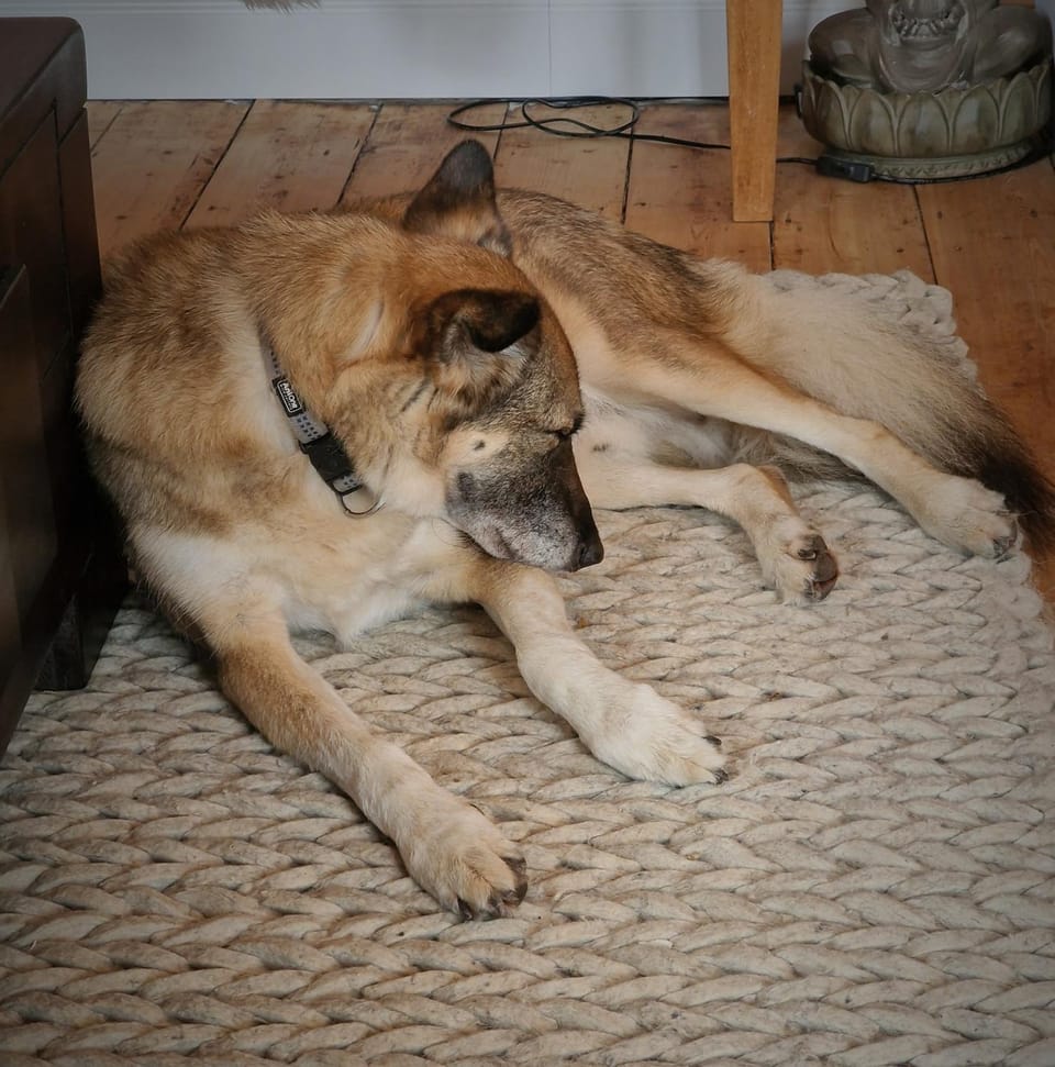das rote Ferienhaus Terlinden House in Bernkastel-Kues