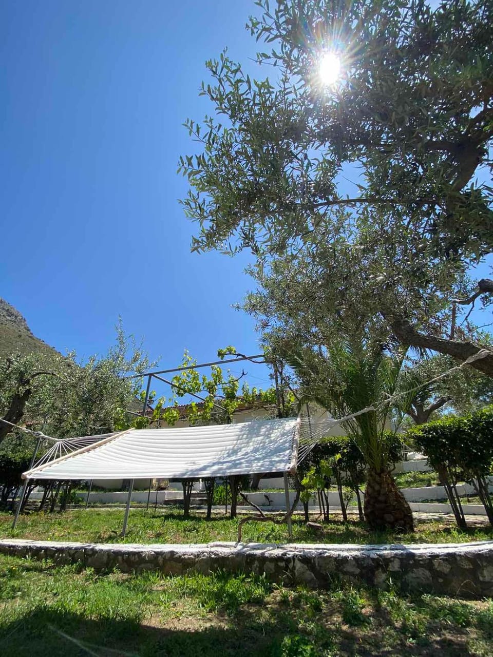 Area and facilities