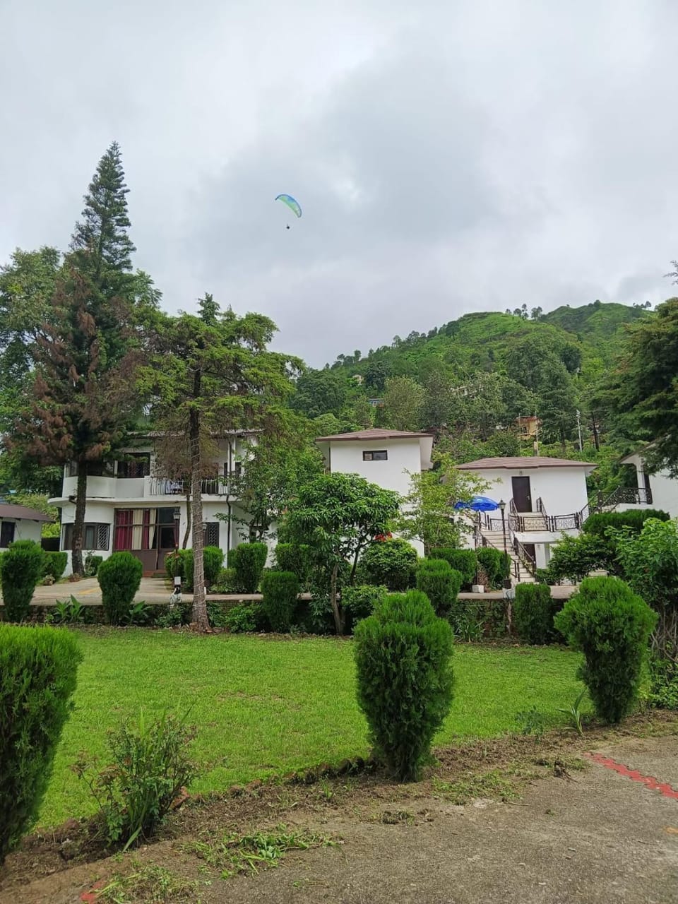 Garden, Garden