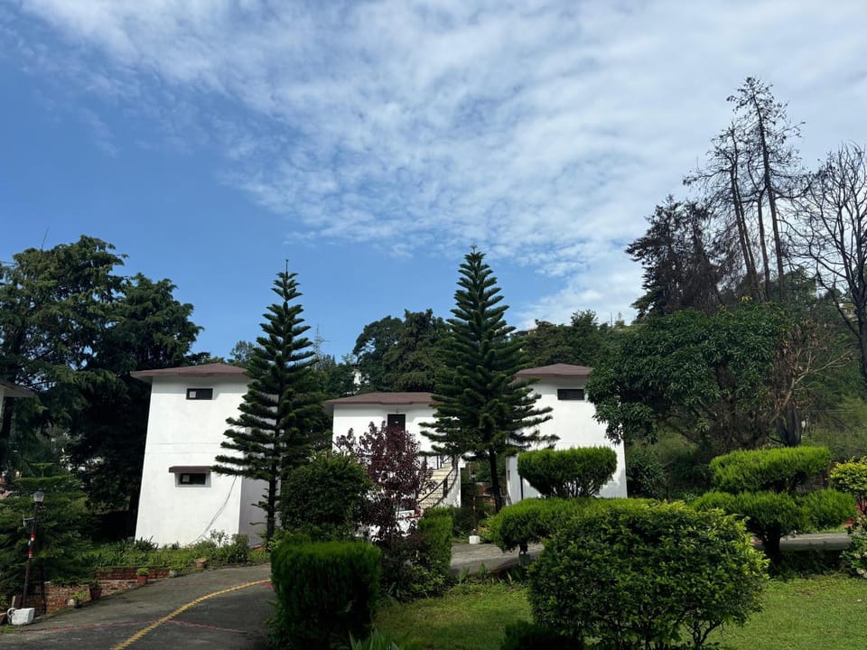 View (from property/room)
