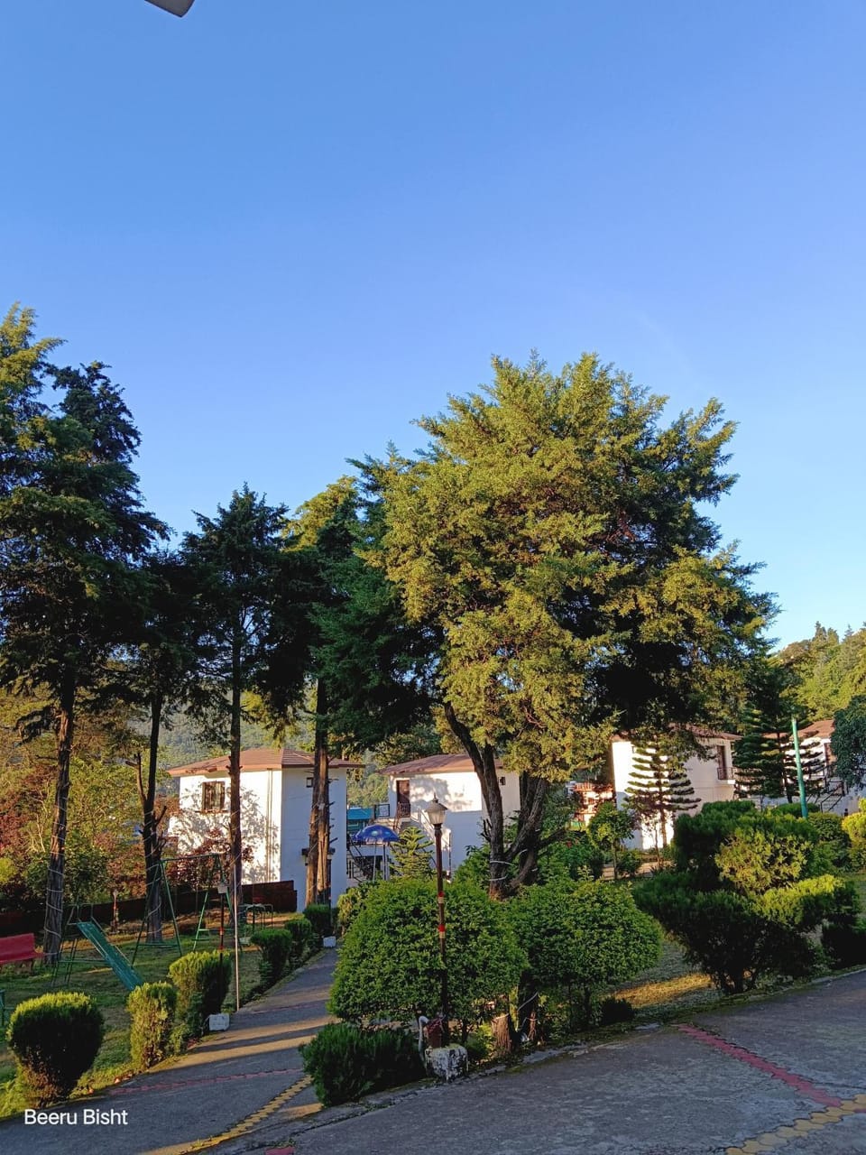 Garden view